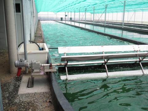 Formation UCARE spiruline au CFPPA de Bourcefranc-le-Chapus