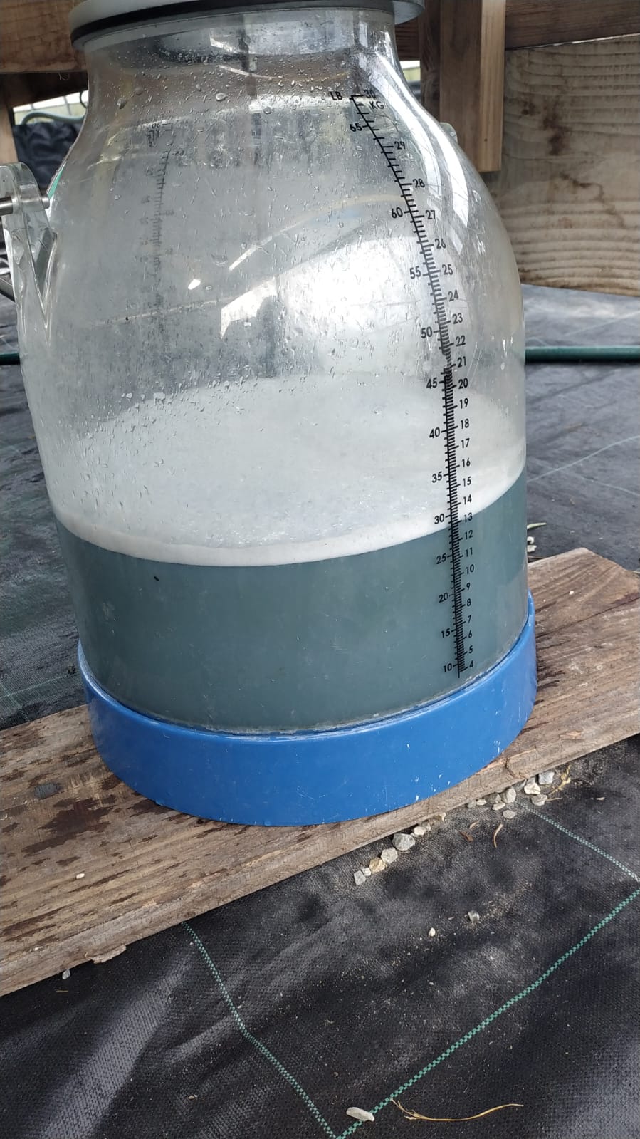 Eau bleue pressage juin 2025