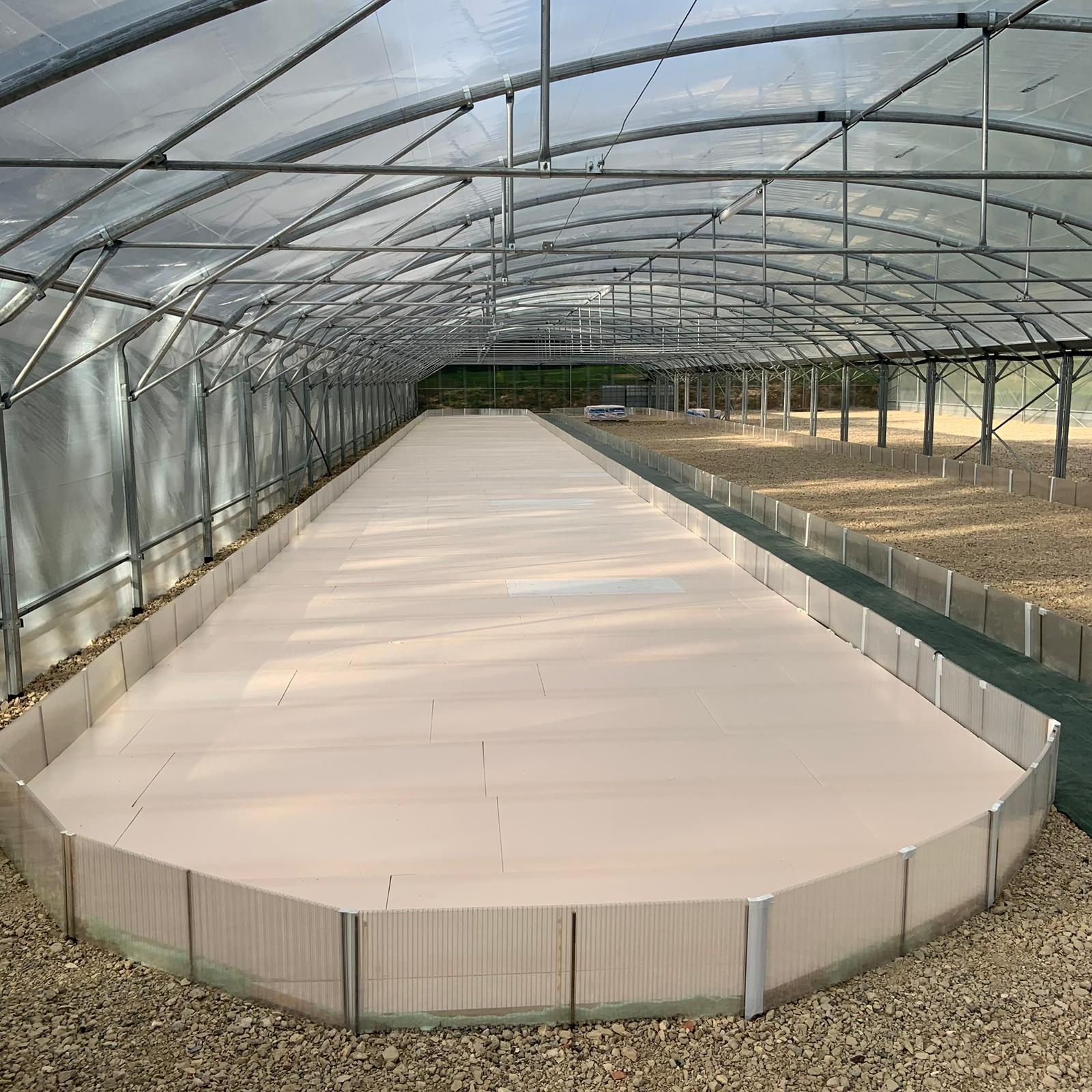 Construction bassin Vivien 1