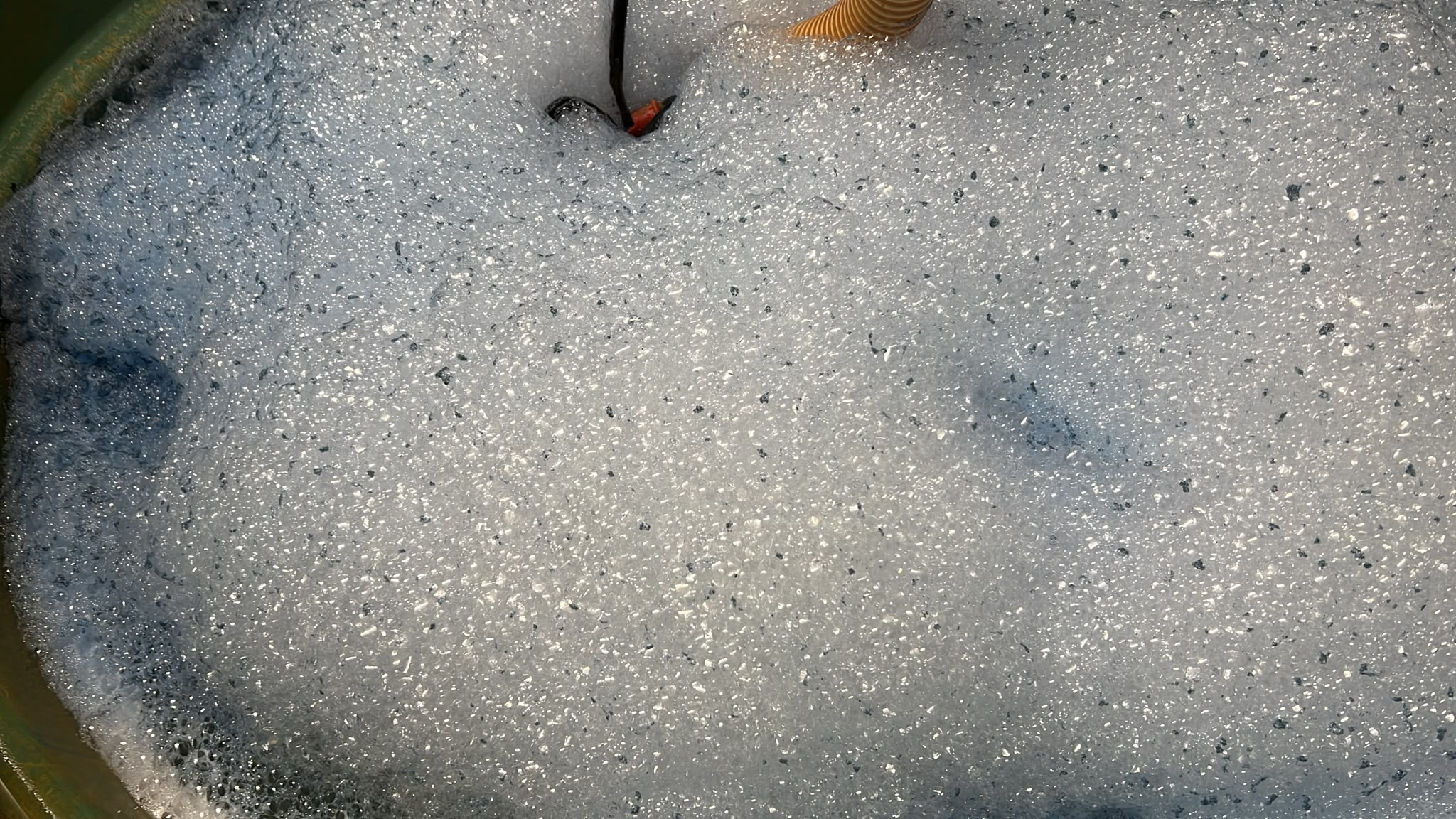 Mousse bleue Venturi 1
